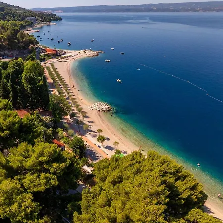 Sea View Beachfront Maslina *
